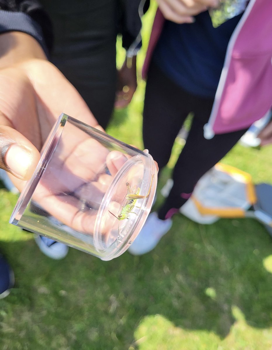 TheEPCollege's tweet photo. Year 8 collecting bugs at Thurstaston! #ExperienceWeek #BeMore https://t.co/jROewB8X17
