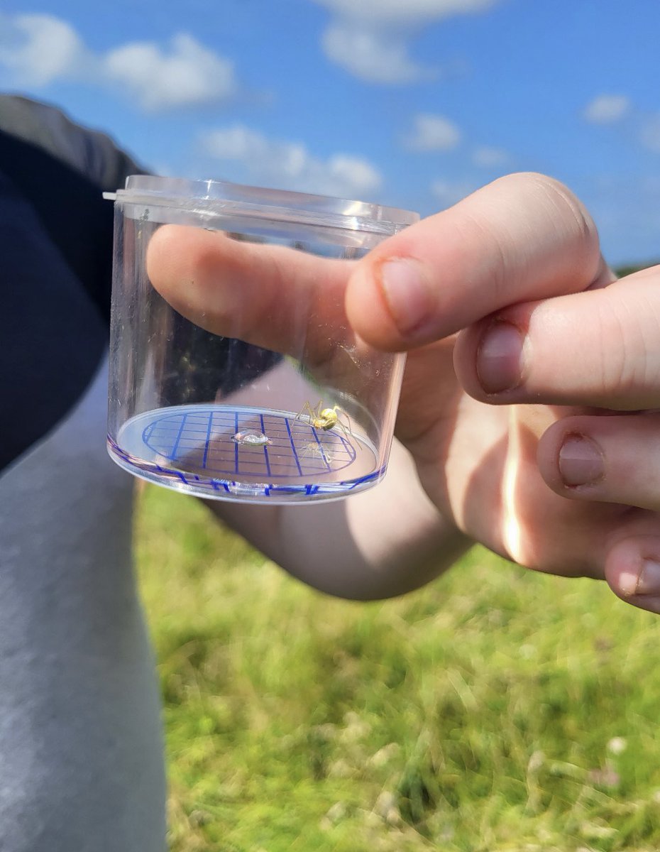 TheEPCollege's tweet photo. Year 8 collecting bugs at Thurstaston! #ExperienceWeek #BeMore https://t.co/ZGb04sSbOH