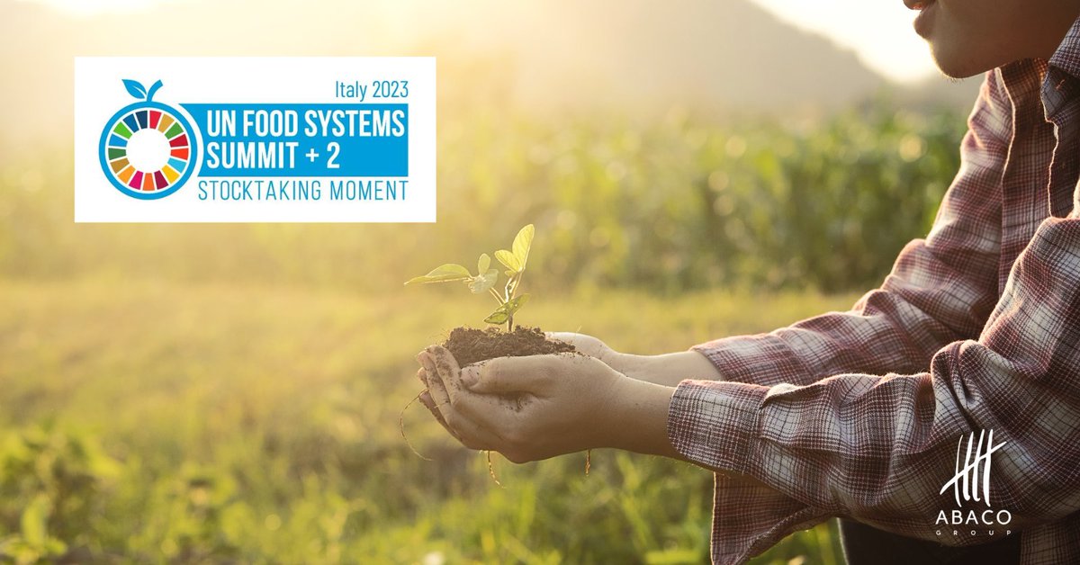 ABACO Group tweet media