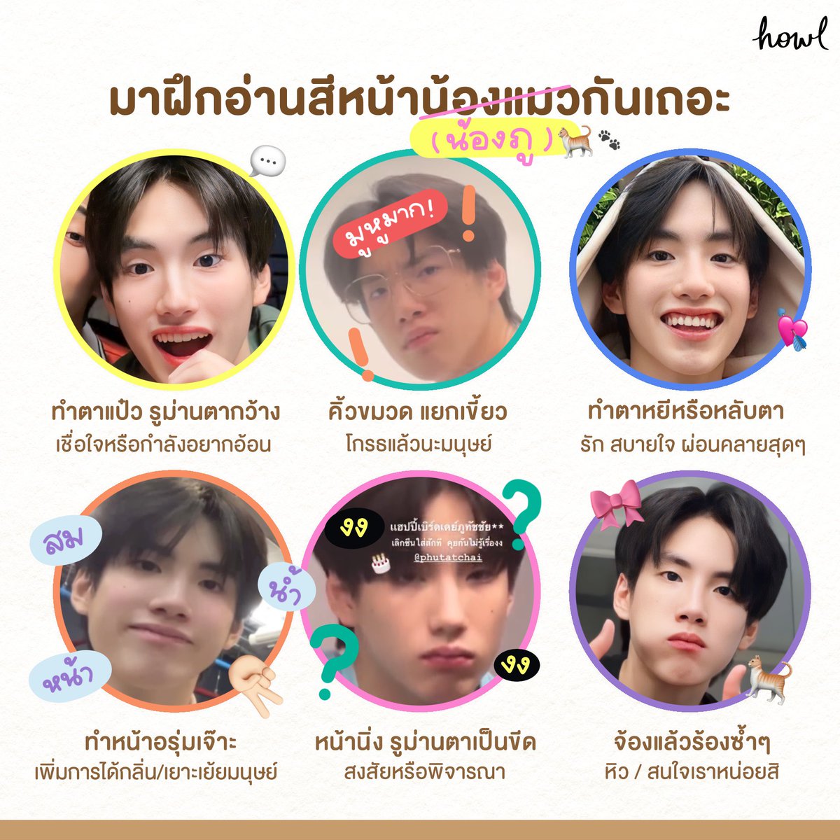 sleepyjaydesu's tweet photo. เปิดคู่มือการเลี้ย��น้องภู 💭🐾🐈

#PHUTATCHAI ♡ https://t.co/gM9stY7RE5