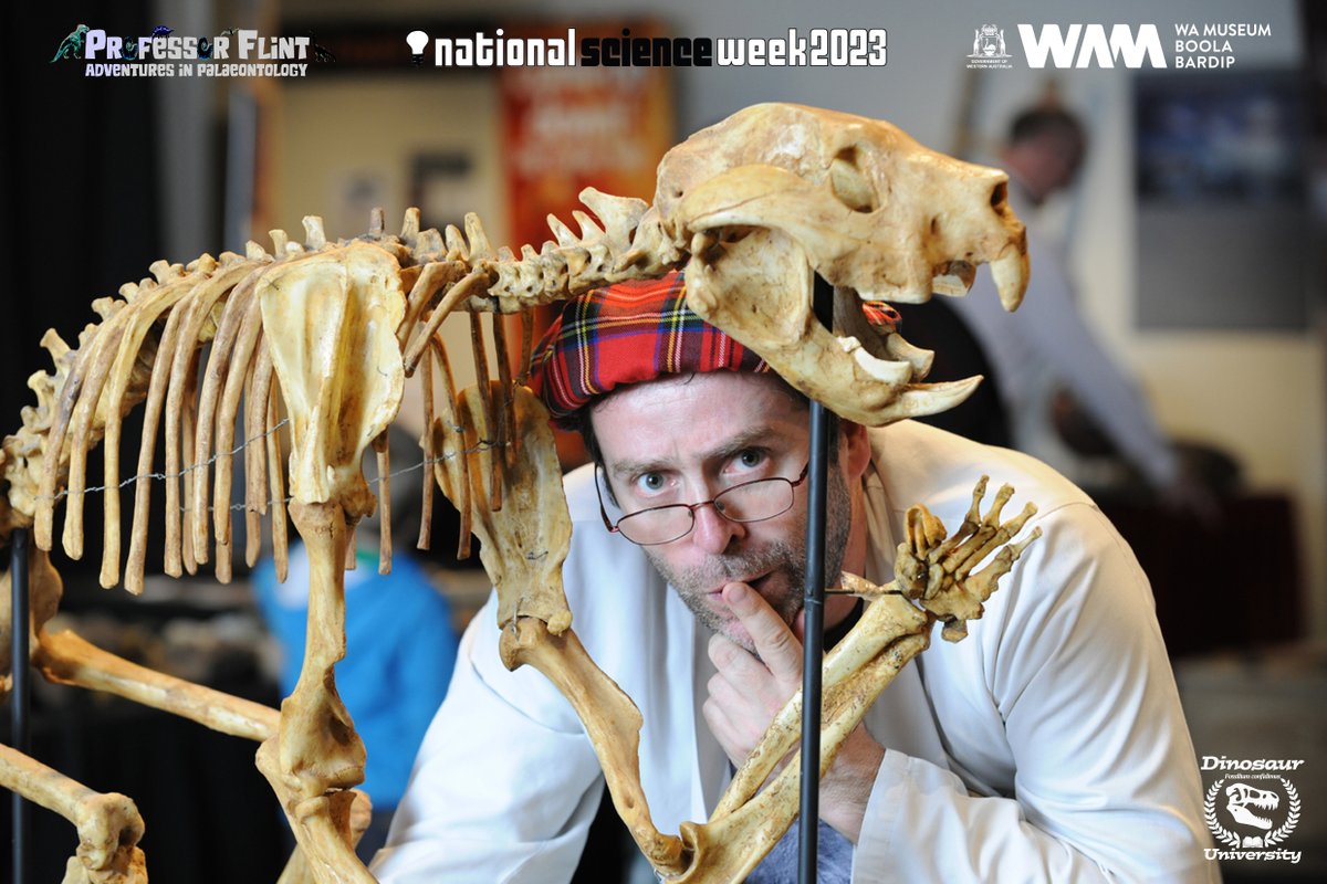 BREAKING NEWS!
I’m very excited to be able to announce that I’ll be performing in Perth for the very first time as part of the WA Museum Boola Bardip’s “Biggest Science Lab Ever” across the weekend of August 19th and 20th. Put it in your diary, and stay tuned! 😃

#FossilFriday