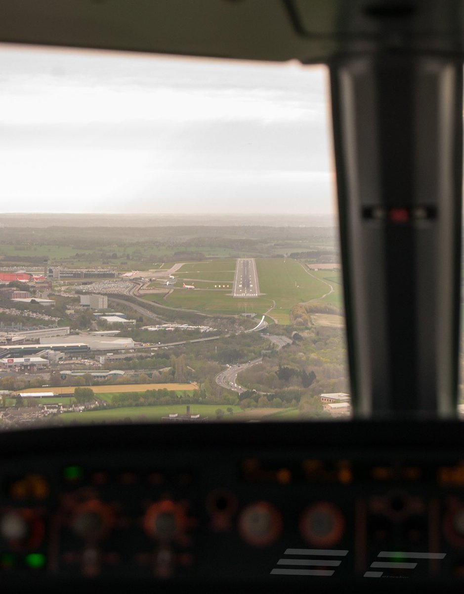 Edgarflyer tweet media