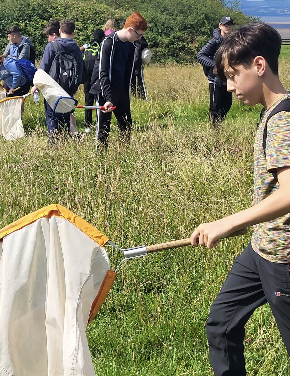 TheEPCollege's tweet photo. Year 8 collecting bugs at Thurstaston! #ExperienceWeek #BeMore https://t.co/yHBtNQb3N1