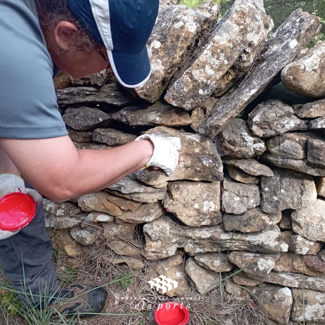 Mancomunitat Comarcal Els Ports tweet media