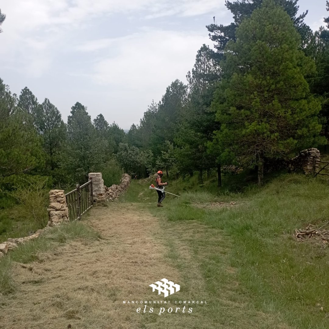 Mancomunitat Comarcal Els Ports tweet media