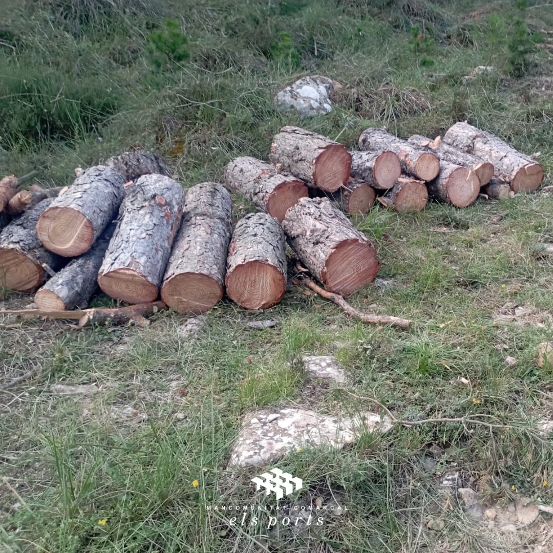 Mancomunitat Comarcal Els Ports tweet media