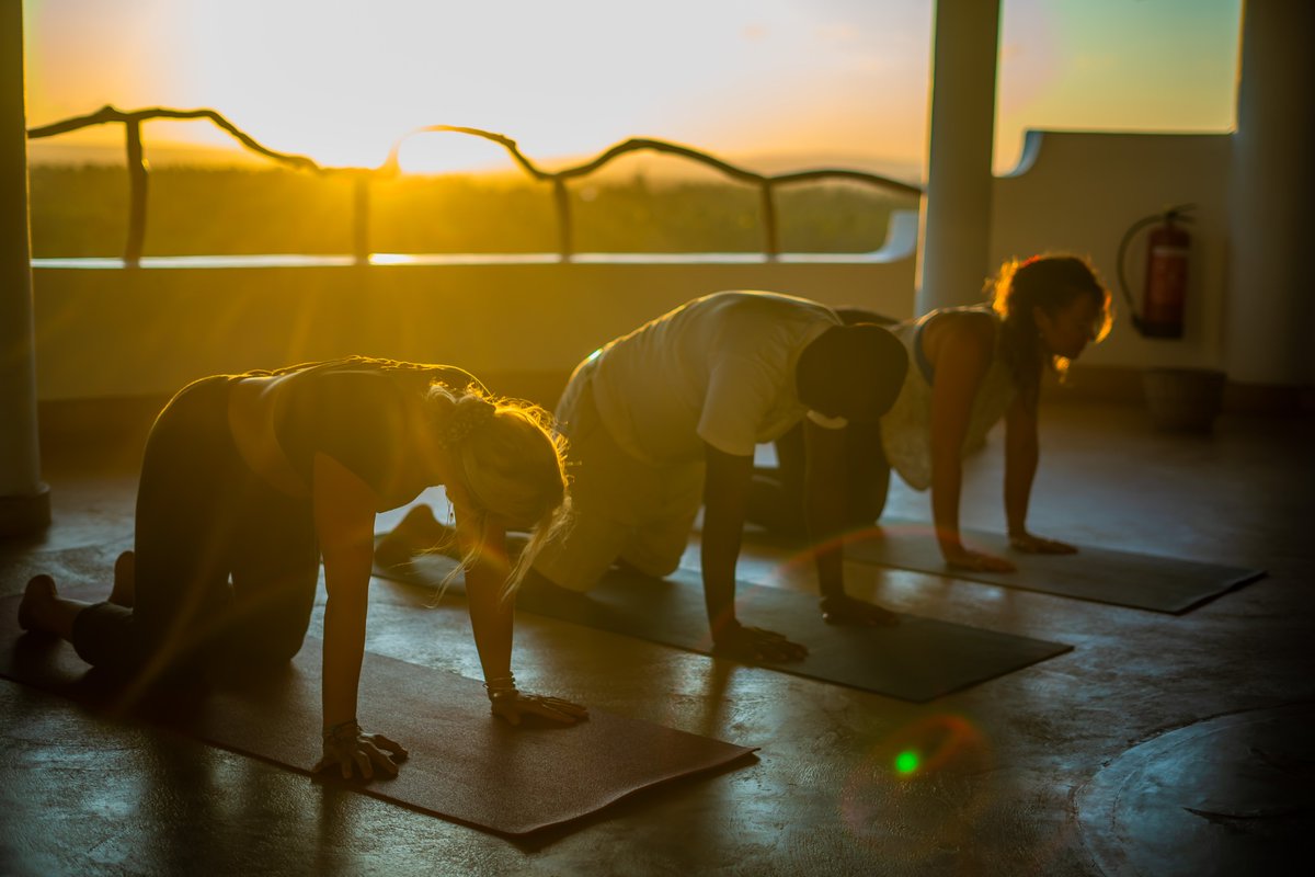 Kenya Tourism Board tweet media