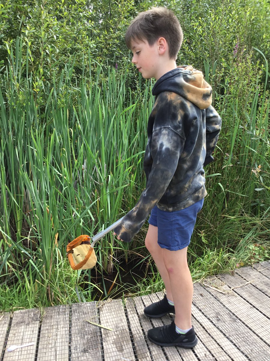 StPhilipsY6C's tweet photo. We have found Newts and Dragonfly larvae in the pond, meet Bob, Gerald, Joe, Speckle and Loaf! #teamstphilips #StPhilipCEAPS https://t.co/R0uhihpkns