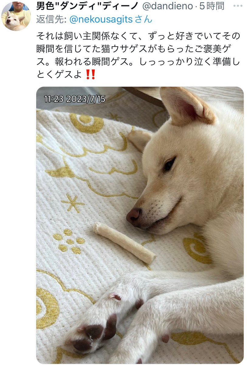 nekousagits's tweet photo. ✧‧˚‍＼＼\\٩(*´▽`*)۶//／／✧‧˚ https://t.co/TyduRndk7Q
