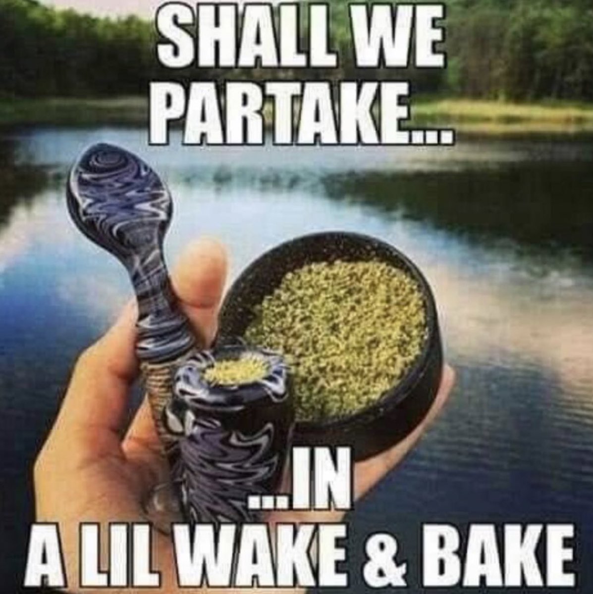 AngelsCannabis's tweet photo. Good morning 🌤️ happy Thursday~ it’s almost 6:45 am how are you? I’m good, the animals were shot out of a cannon earlier this morning though. 

Indica & Sativa are entering adult cat-hood & were running back & forth knocking stuff over. Then there’s my puppy Bear who thinks he’s their mother chasing after them trying to stop them & break them up 😅

I feel everyone should have pets, it improves life so much. I’ve always had at least 2 dogs, sometimes 3 & a cat. That’s the bare minimum lol when my cat had 6 kittens, before I could adopt them out I had 7 cats & also my 3 dogs at the time. Craziness lol

Anyway I’m having ☕️ & about to wake n bake~ starting my day off right #Mmemberville #CannabisCommunity #StonerFam