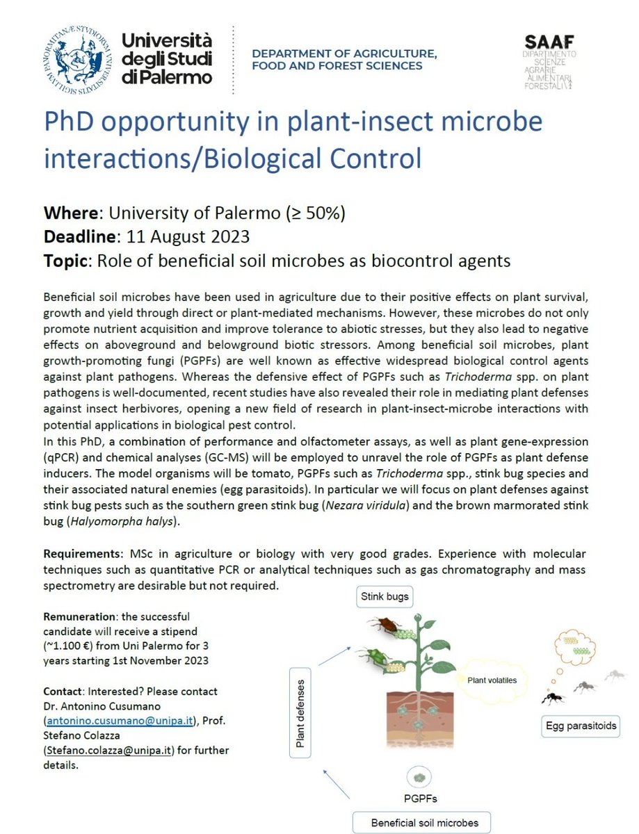 #PhD opportunity in #Entomology 
#soilmicrobes #agriculture #biocontrol #insects #plants #stinkbugs #trichoderma #parasitoids #italy 🇮🇹

Email: antonino.cusumano@unipa.it

E-mail: stefano.colazza@unipa.it

unipa.it/persone/docent…

unipa.it/persone/docent…