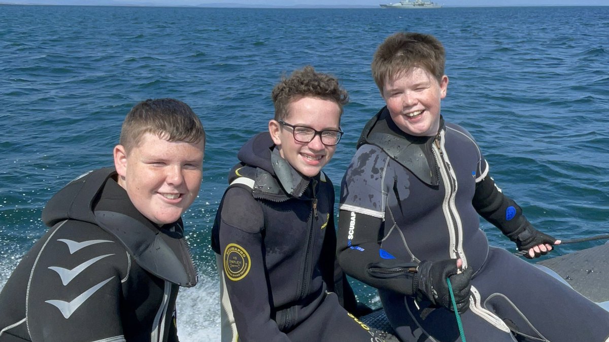 DiveAran tweet media