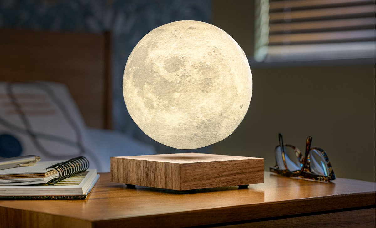 LoopsAndPluto's tweet photo. 🌕Celebrate International Moon Day honouring the anniversary of the first landing of humans on the Moon. 🚀This was accomplished by the Apollo 11. Discover our moon selection today; https://t.co/gmGJTjH8MT https://t.co/CD2gxuidWM