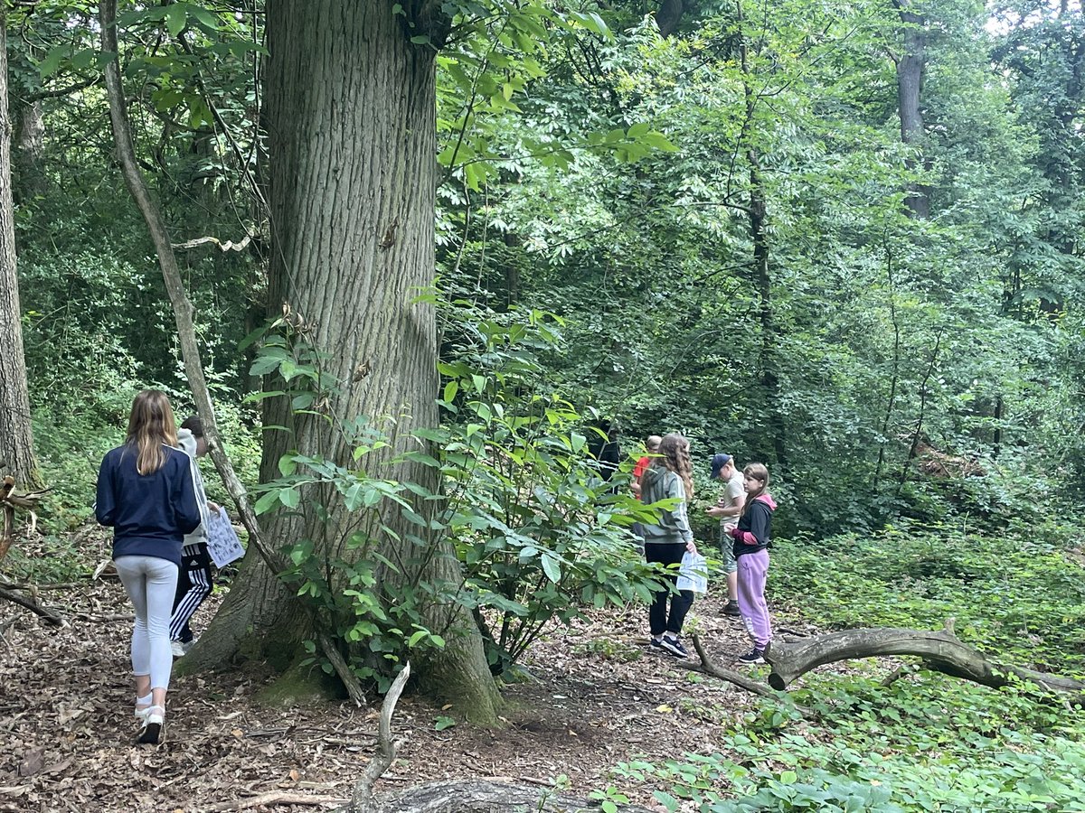 Year 7 Science Fun!!