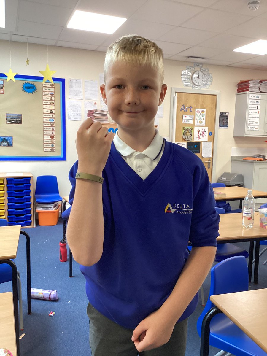 Macaw Class Y5 tweet media