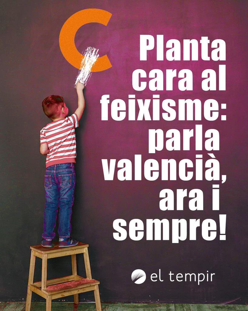 El Tempir tweet media