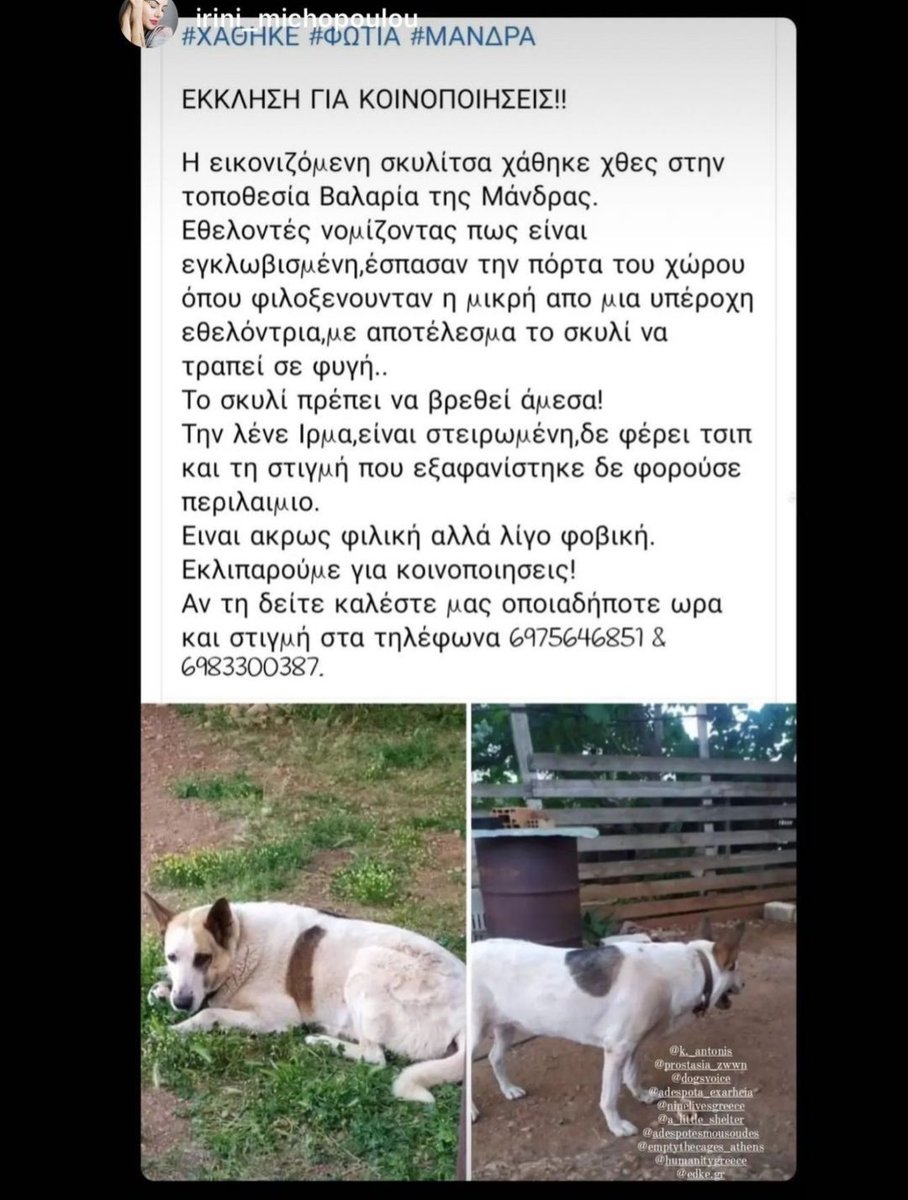 #φωτιες  #φωτια #ζωα_σε_αναγκη #ζωα