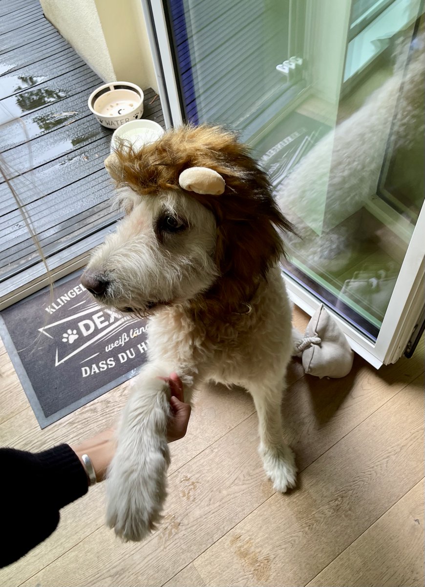 Oliver Kalkofe 📯 tweet media