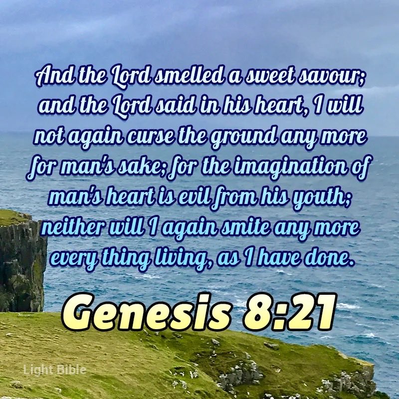 DorisBa75169461's tweet photo. Good morning everyone have a blessed day. https://t.co/eJ39FS4pTI