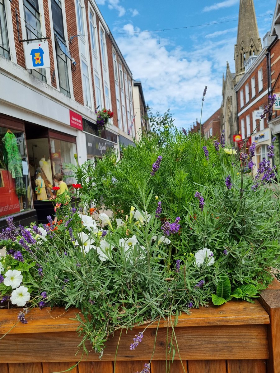 Our town planters are brightening up the street beautifully thanks to Carl &amp; his team <a href="/DorchesterTown/">Dorchester, Dorset</a> Council. This summer any contributions we get <a href="/Dorchlive/">DorchLive</a> performances on Saturdays will help fund plants &amp; shrubs for the children of #Sunninghillprep who are looking after one!