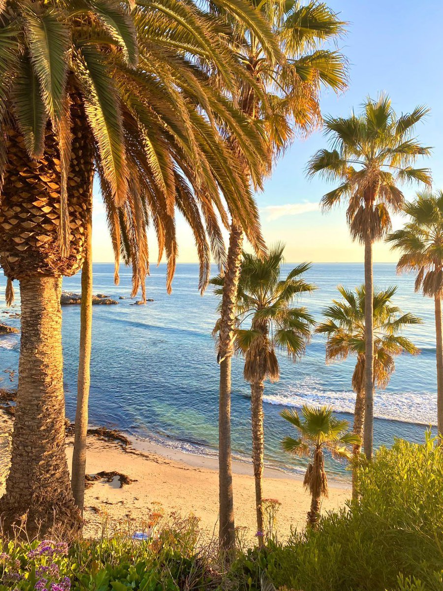 allen3717's tweet photo. #Los Angeles #Irvine laguna beach https://t.co/4rqNgNvsqC