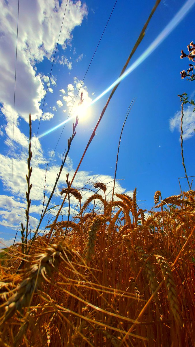 MAnaigar's tweet photo. ๐๐๐คโค๏ธ #ailly
#photography
#ePHOTOzin
#naturephotography
#magnifiquefrance #Normandie
#FranceMagique
#loveNormandie
#Photographie
#Normandy https://t.co/arjnZjX0VI
