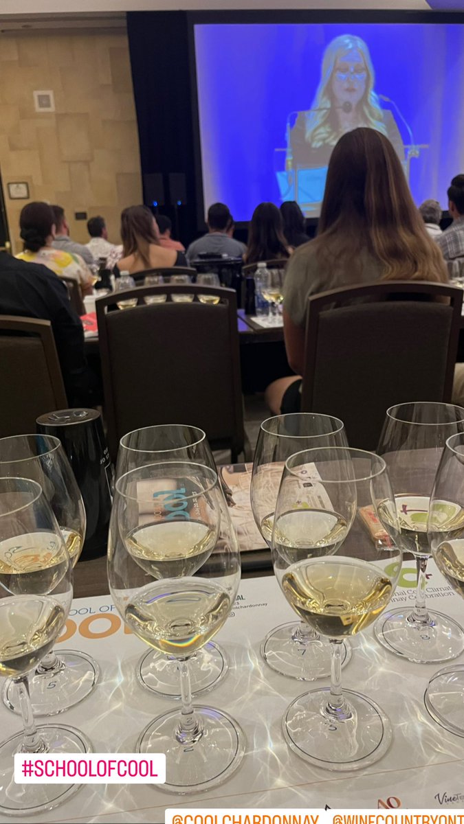 Antonia Mantonakis | The Wine Psychologist tweet media