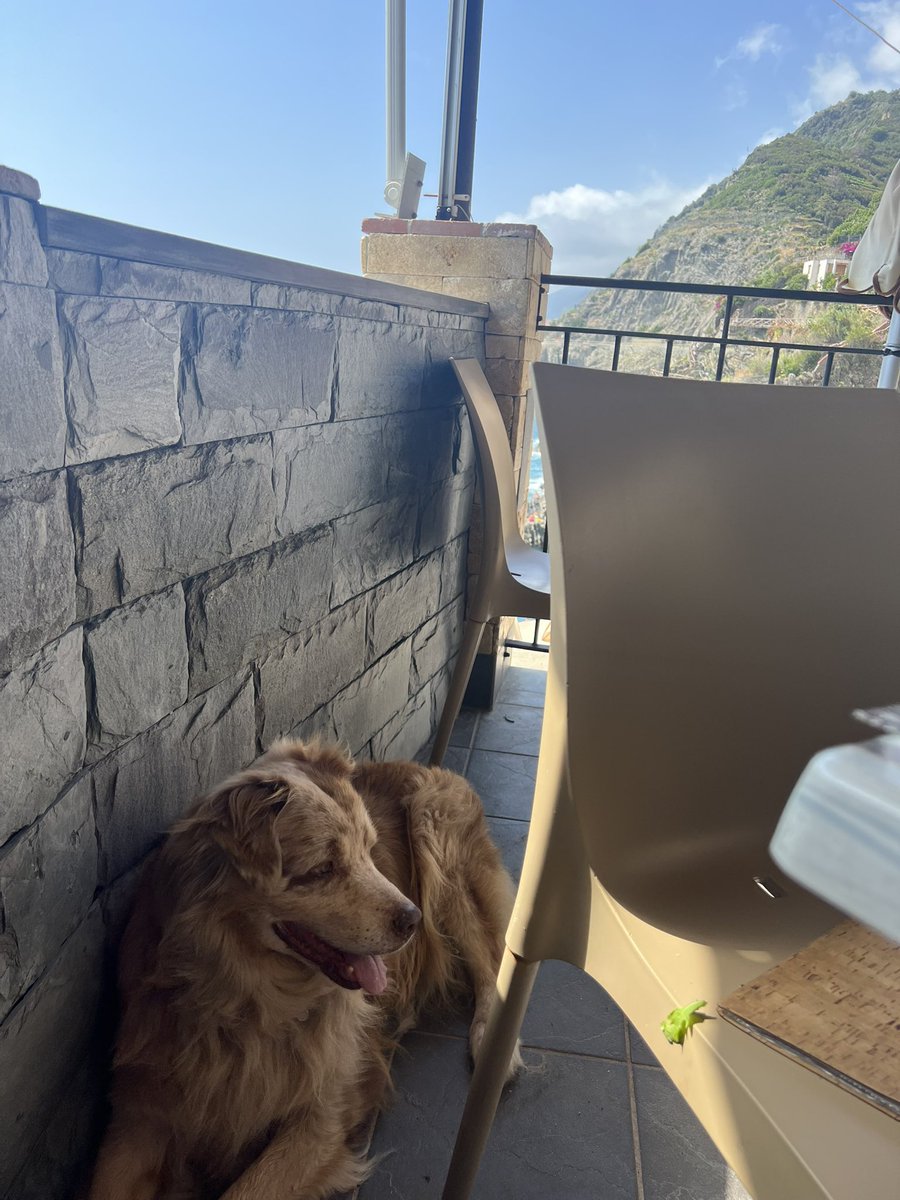 Jason's tweet photo. Finally, a break! 🇮🇹
#stressfreesummer! https://t.co/DBFjiFco2P