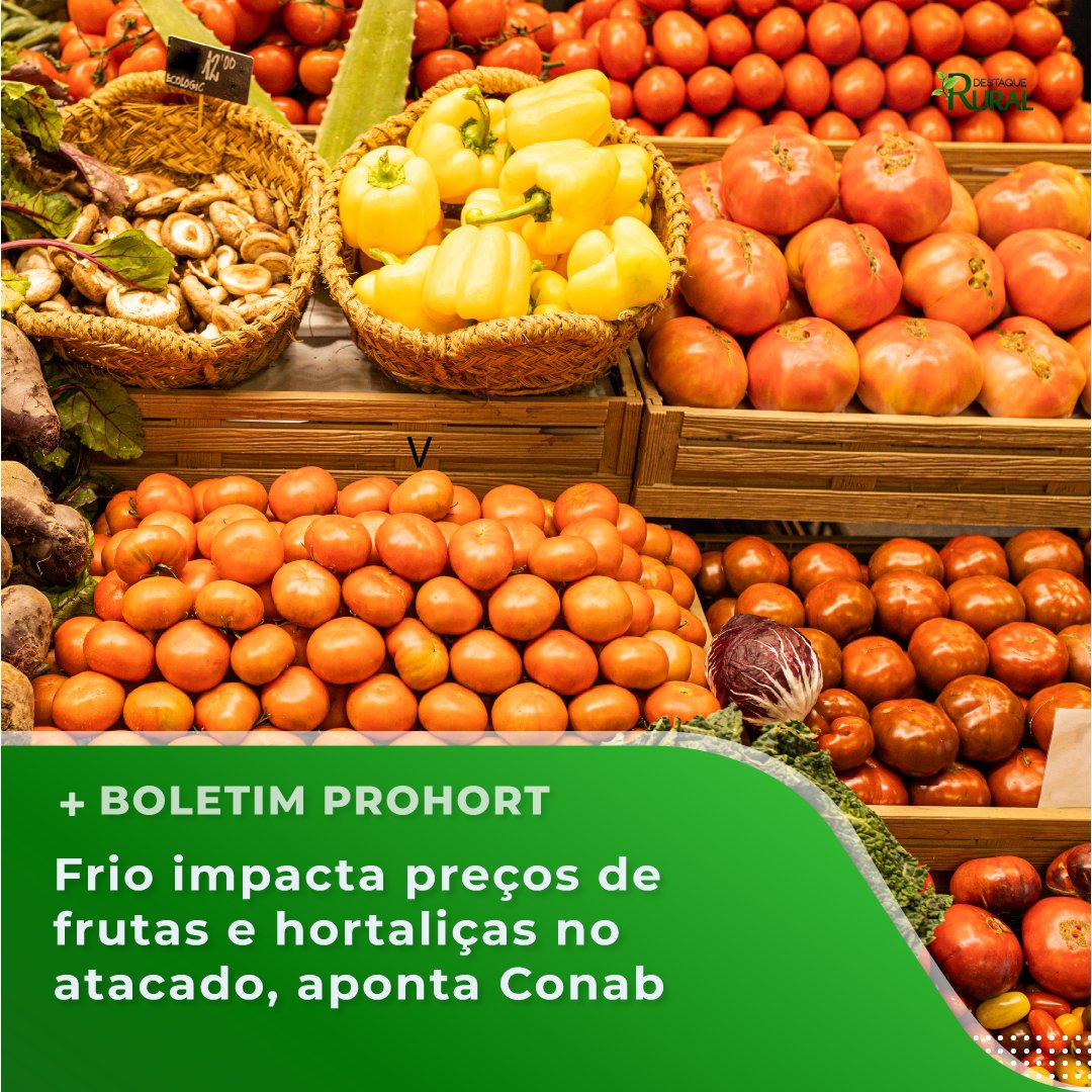 destaquerural's tweet photo. O Programa Brasileiro de Modernização do Mercado Hortigranjeiro (Prohort), teve seu 7º Boletim divulgado nesta quinta-feira (20), pela Conab.

📲Leia pelo link https://t.co/pq2ukLjfsb

#destaquerural #agronegócio #agro #pecuaria #agropecuaria #produçãoagricola https://t.co/4q6FQcQa2F