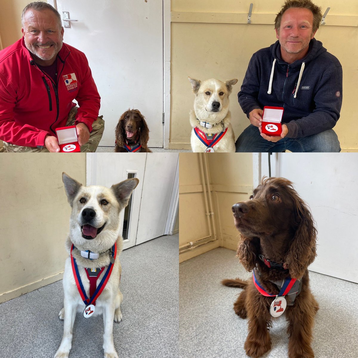 Our very first assistance dogs, Ajax and Jerry, with their long service medals🏅accredited in Sept 2016 and are still going strong today! Veterans, Lee and Mark, also received an engraved commemorative coin. We are so proud of what our partners achieve together! ❤️😊🐕‍🦺👍🐾 #ptsd