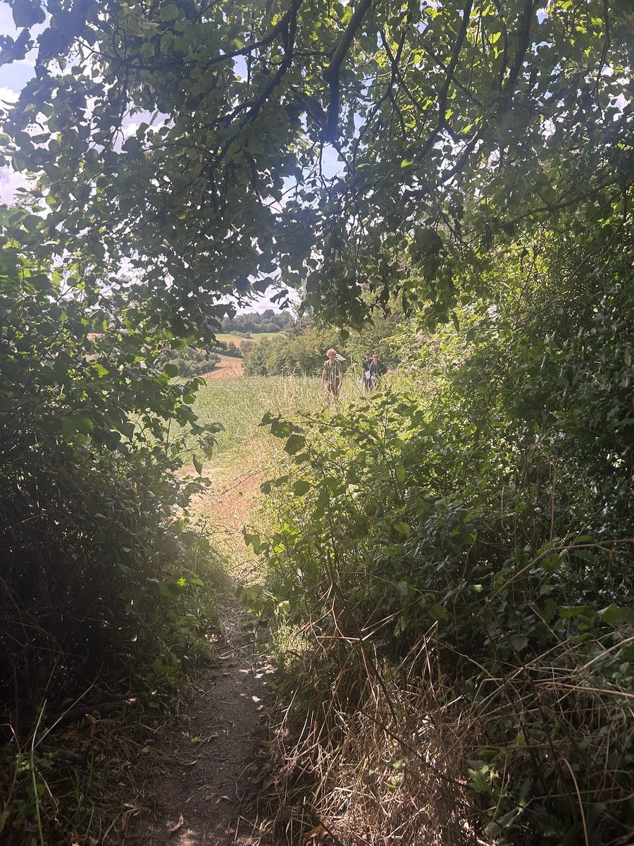 DofE Chiswick School tweet media