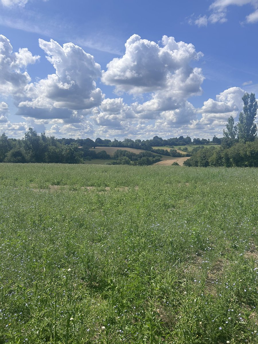 DofE Chiswick School tweet media