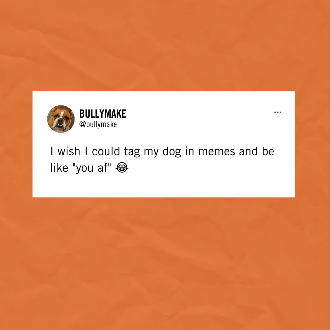 Bro you do this ALL the time 👉 😆 

#dogs #dogmemes #pets