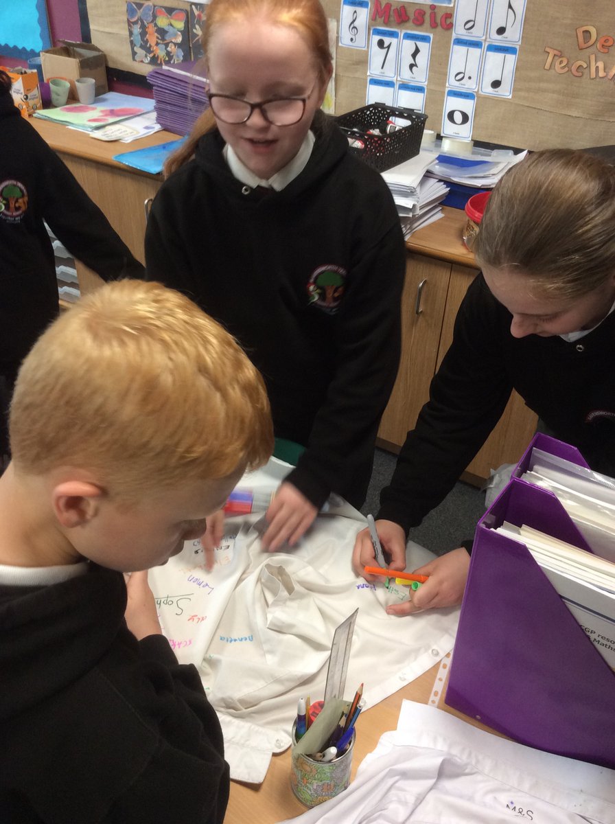 Year 6 Mrs Shaw tweet media