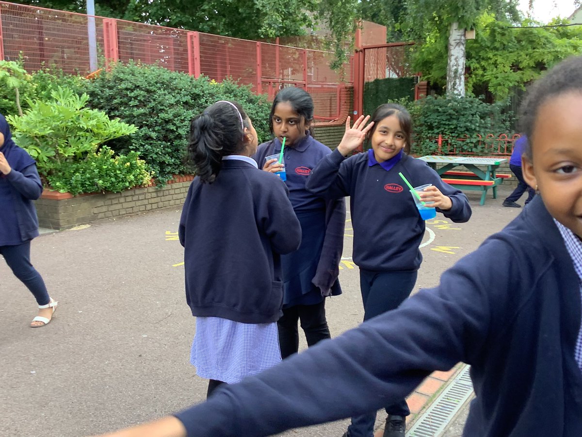 Halley Year 4 tweet media
