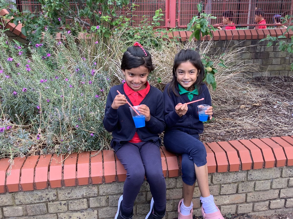 Halley Year 4 tweet media