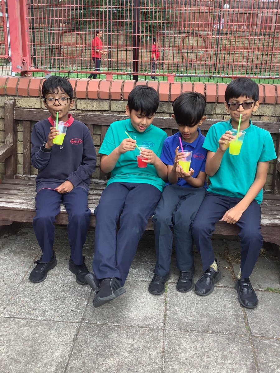 Halley Year 4 tweet media