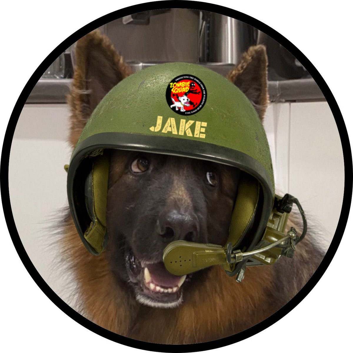 #ZSHQ #helmetsforSprock