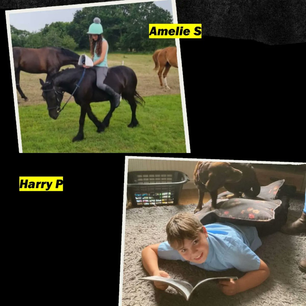 Stalham High School tweet media