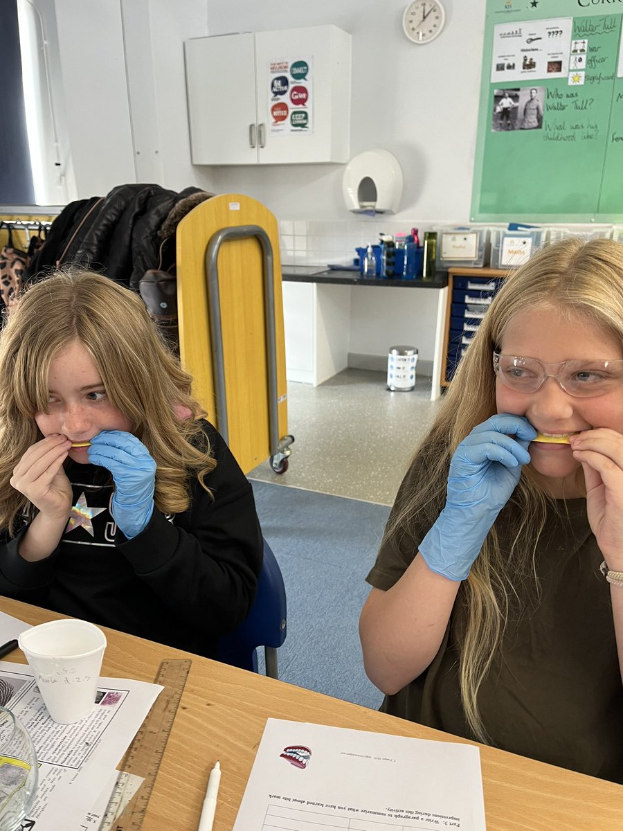khpa_MrsS's tweet photo. Impressive evidence! Leaving our teeth marks in different sweets and styrofoam cups in order to see the unique characteristics. One step closer to discovering who ate my sweets! #AD2023 @KhpaPrincipal @khpa_h https://t.co/zAdAAreSbs