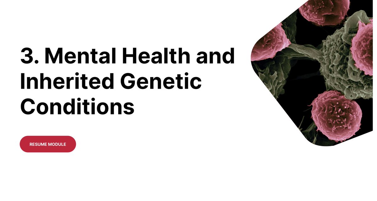 MedicsForRare's tweet photo. Lesson 3, ‘Mental Health and Inherited Genetic Conditions’’ of the 'Mental Health and Rare Disease' course is now live! Discover more about how rare diseases can affect #mentalhealth by logging on to M4RD Learn. Made in collaboration with @RareMindsUK.
https://t.co/fy6JlKBbbX https://t.co/8YzyvwuEAy