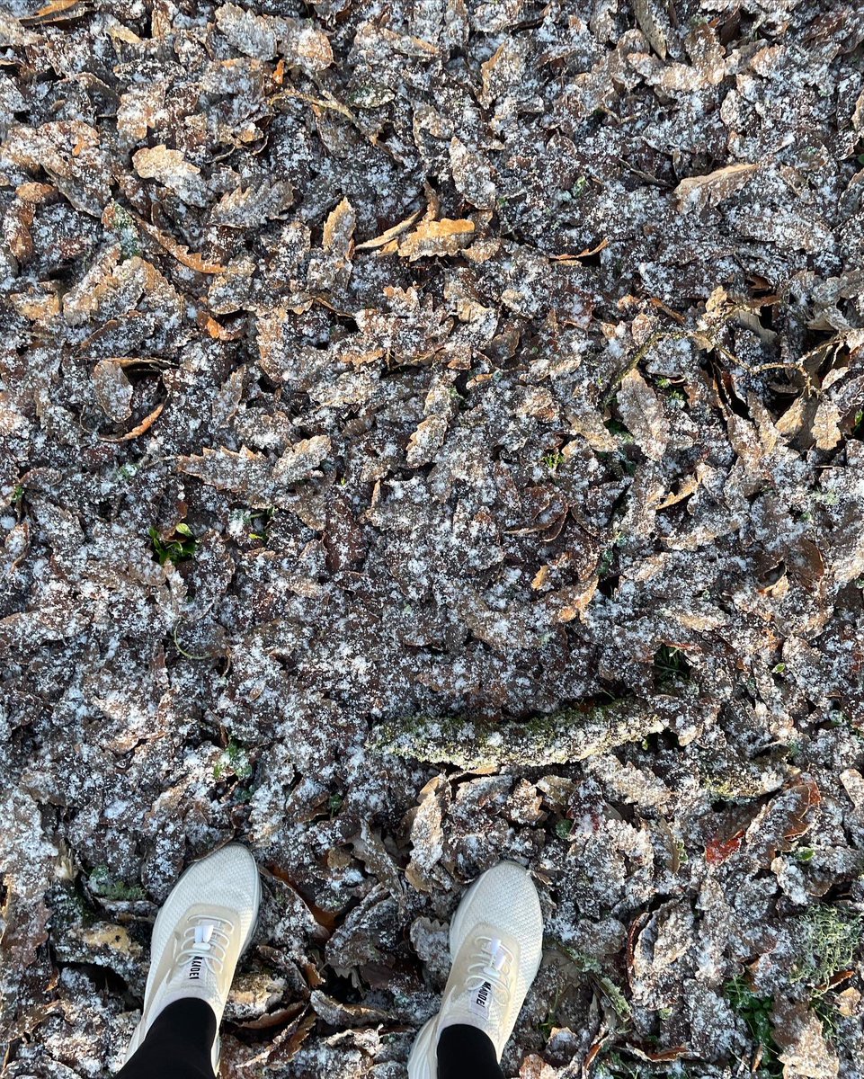 My copy of <a href="/idler/">Idler</a> has arrived with the first of my Dartington Trust residency poems ✨ inspired by my time there, its radical history, Dorothy Elmhirst, &amp; Anna Neima’s book ‘Practical Utopia.’ Thanks to Idler editor @poetclare for giving it a home 🌳🌿❄️