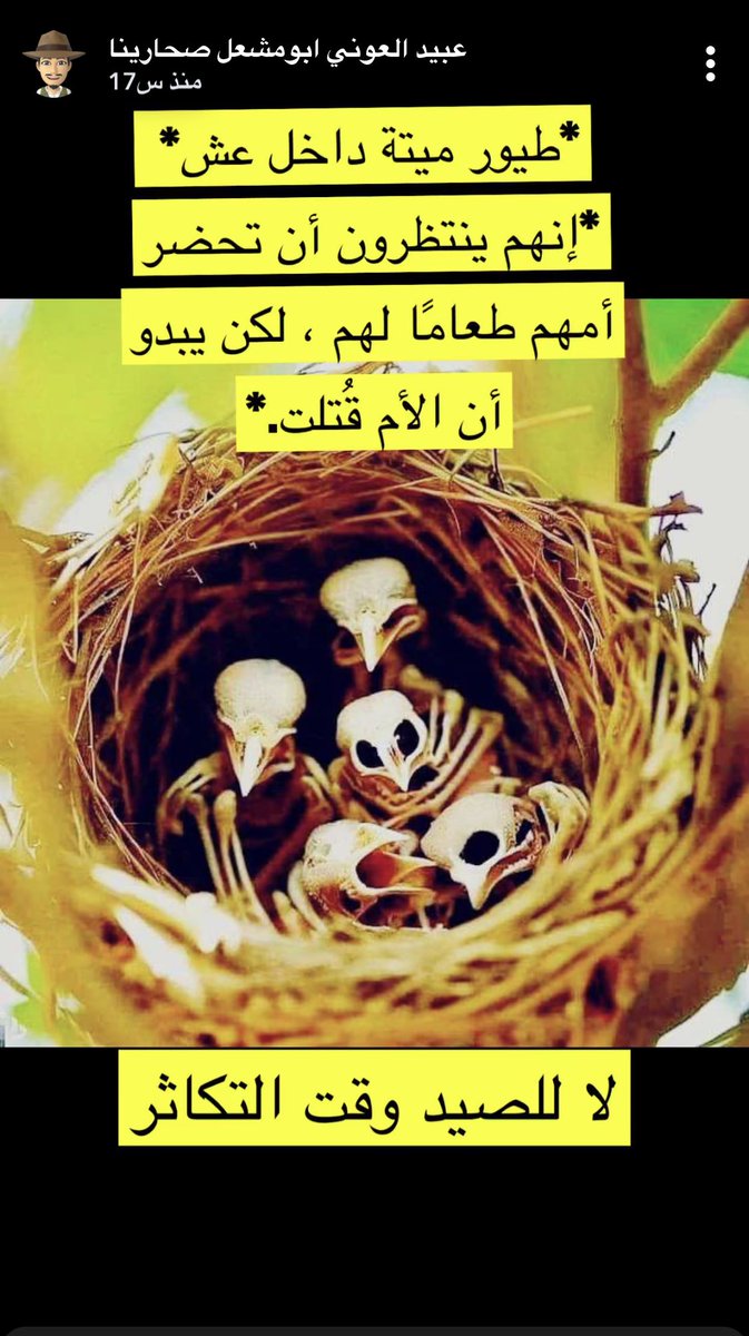 Env_life's tweet photo. من نتائج جريمة الصيد وقت التكاثر!
ماذا ننتظر أكثر مما تشاهدون!

#تبوك #السعودية https://t.co/ISBvIh3IvY