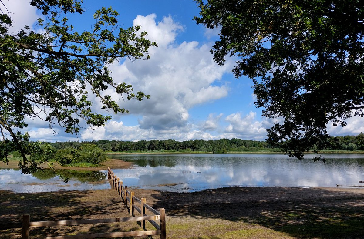 1/2) Rondom het #Groot_Meer in Wintelre is er veel opgeknapt.

Het pad is rolstoelvriendelijk gemaakt en het ven is voor een groot deel afgebakend om zodat de rust op op het water weer terug is gekeerd.

<a href="/BoswachterFrans/">Frans Kapteijns</a> <a href="/waarneming/">Waarneming.nl</a> <a href="/GemEersel/">Gemeente Eersel</a>