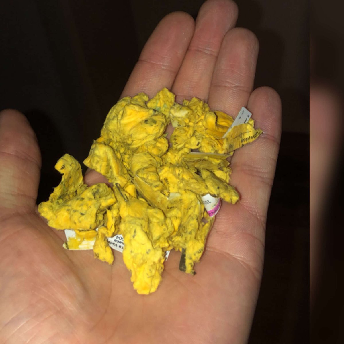 hoodregulator's tweet photo. Alles easy hab die Löwin gefunden, aber ausversehen mitgewaschen jetzt sieht sie so aus?! https://t.co/SiuDVAcM92