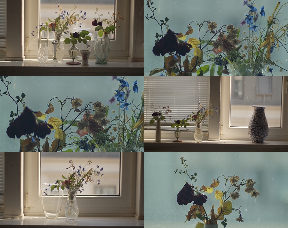 TheodorYemenis's tweet photo. a few snapshots from my little filmic project about "Light and Flowers"

#art #flowers #filmic #Goethe #TheodorYemenis #bmpcc #PhotoVisionProject #creativity https://t.co/WNNkNdZ1cq