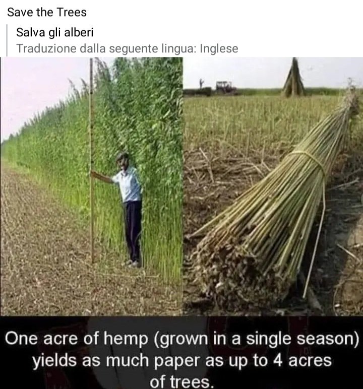 essdiesse's tweet photo. #savethetrees #help #freeweed https://t.co/SkoKcpQ3Tc