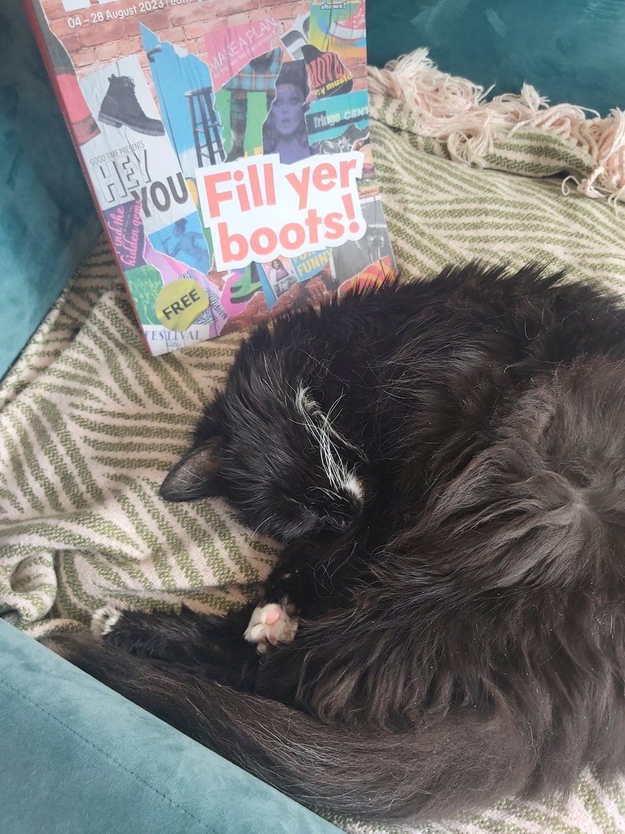moon_loaf's tweet photo. Toodles will be 22 years young this August. He likes his theatre classical and his comedy contemporary. #petswithprogrammes #fillyerboots @edfringe https://t.co/JPwoK1muDk