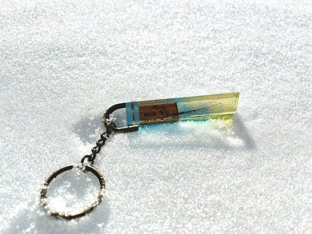 7/22(土) 札幌競馬場にてタニノギムレットの展示がございますが