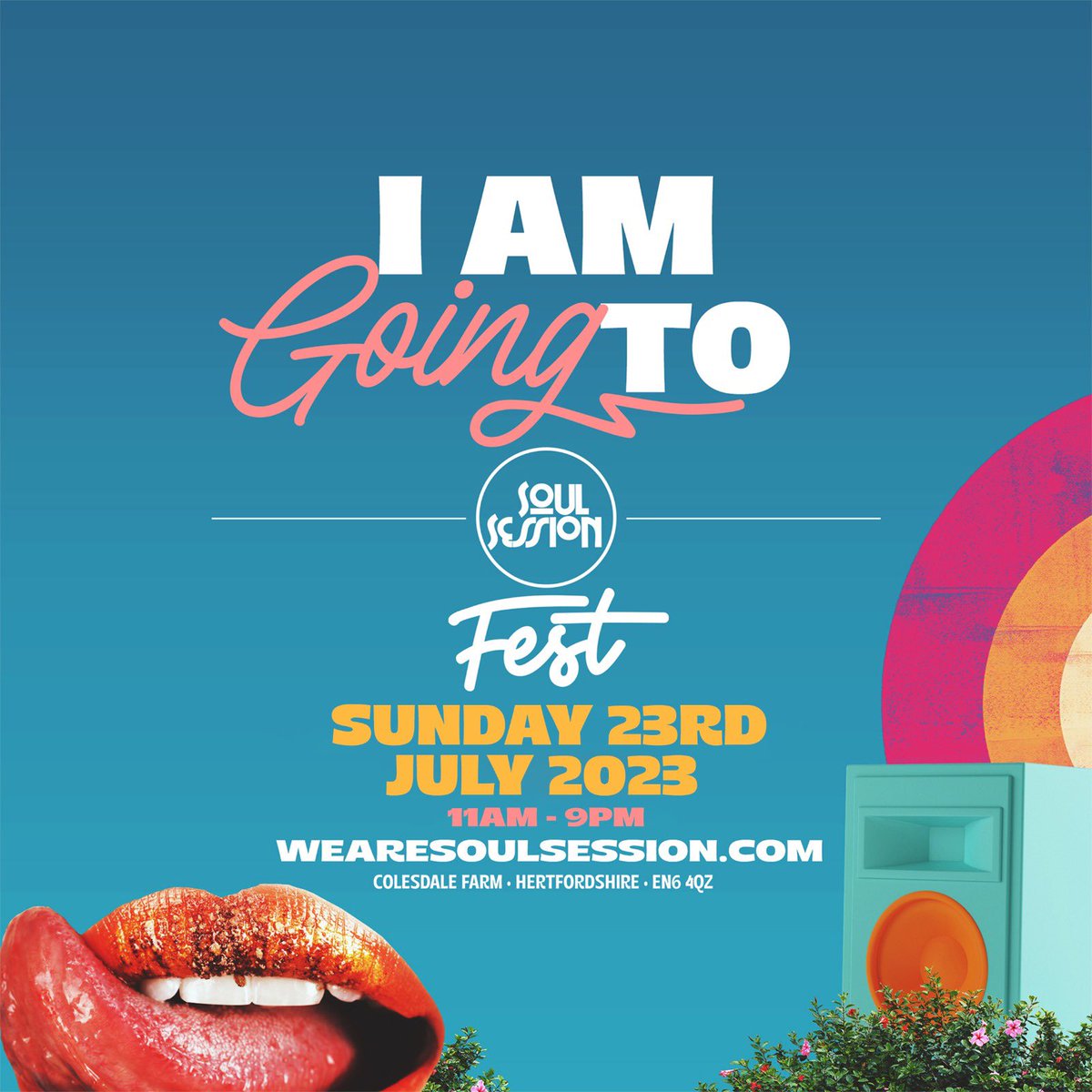 MR BUZZHARD tweet media